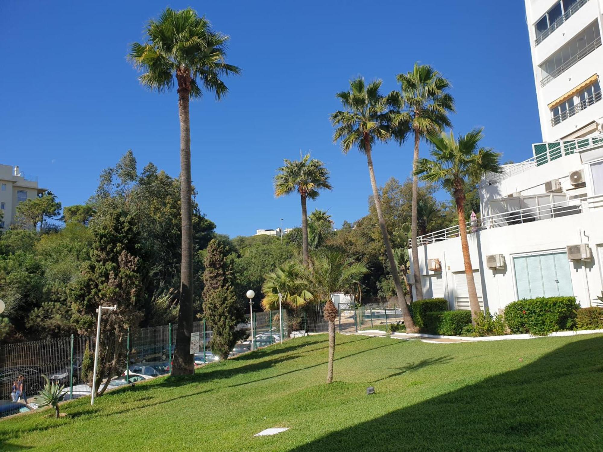 Estudio Con Increibles Vistas. Marbella Esterno foto
